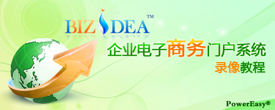 PowerEasy® BizIdea™ 企业电子商务系统录像教程