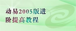 动易2005版进阶提高